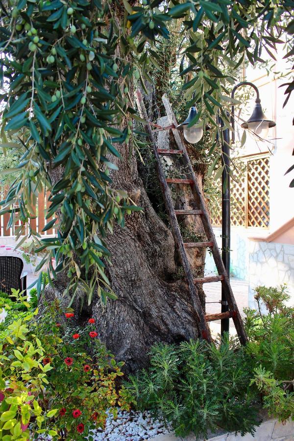 Villa Marchionna Vieste Ngoại thất bức ảnh